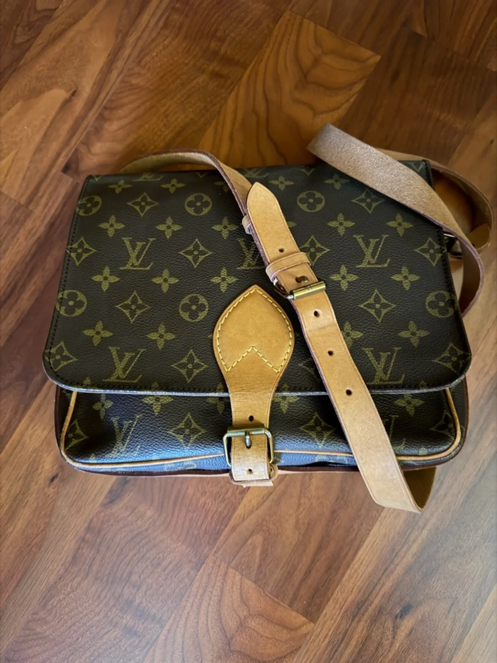 Louis Vuitton authentic louis